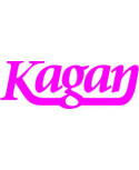 Kagan Publishing