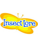 Insect Lore